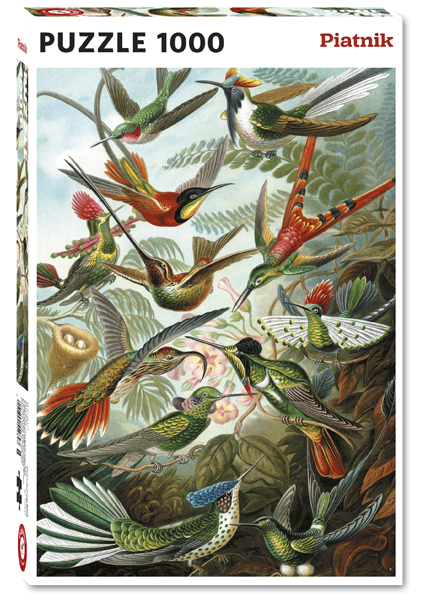 Preces attēls Puzzle PIATNIK 1000 daļas "Haeckel - Les Colibris"