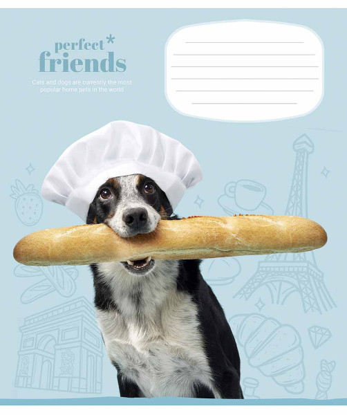 Preces attēls Burtnīca 18lp 170*203mm 60g/m2 # ''Perfect friends'' 3250