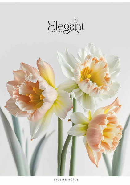 Preces attēls Klade mīksts vāks A4 80lp # glancēts lamināts ''Elegant'' 05236